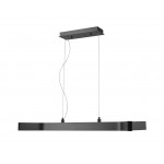 Z-Lite 5 Light Pendant
