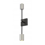 Z-Lite 2 Light Wall Sconce