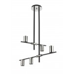 Z-Lite 5 Light Chandelier