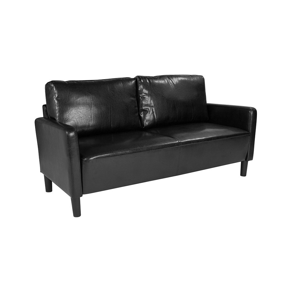 Washington Park Upholstered Sofa in Black LeatherSoft