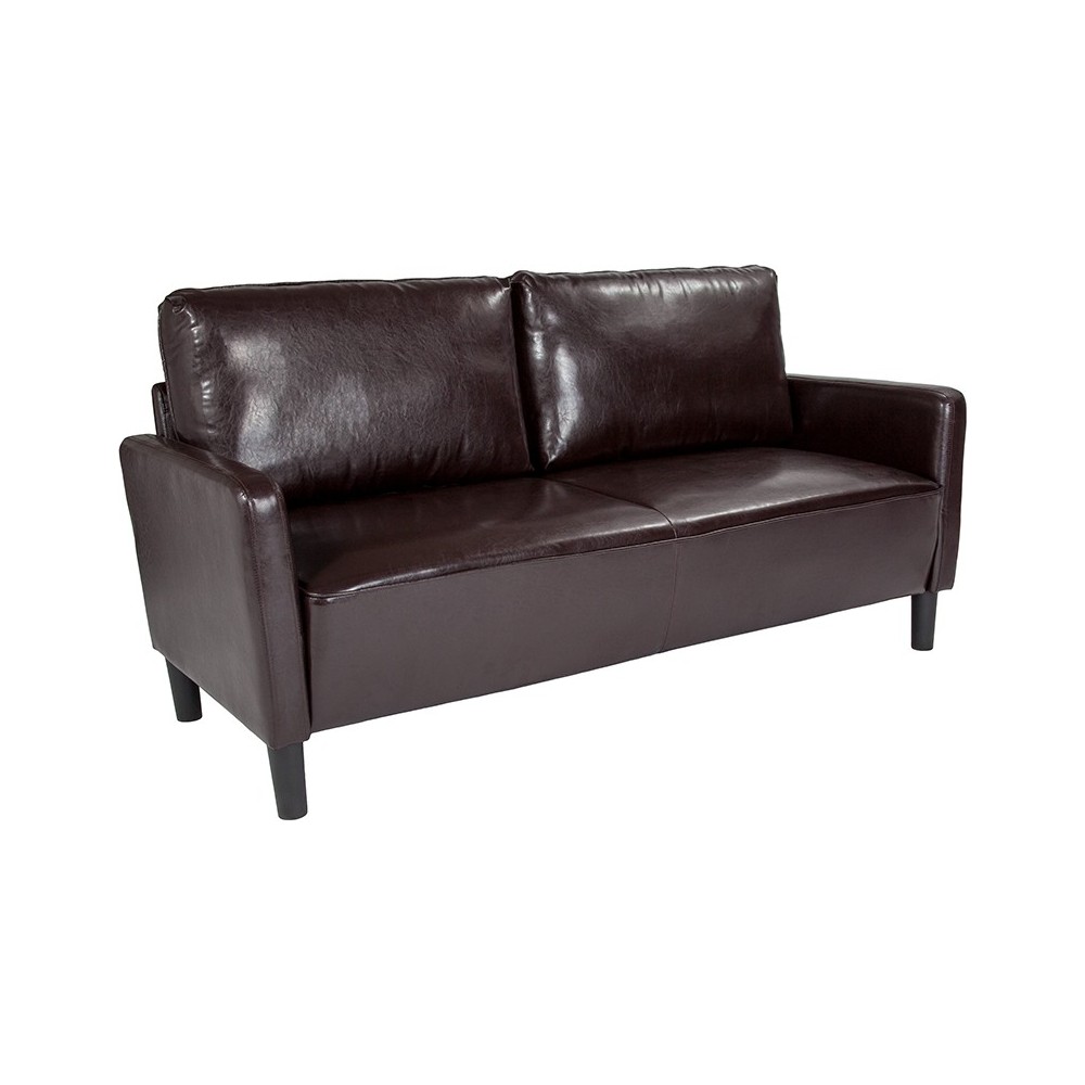 Washington Park Upholstered Sofa in Brown LeatherSoft