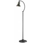 Z-Lite 1 Light Floor Lamp