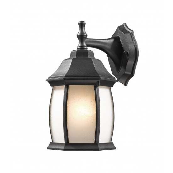 Z-Lite 1 Light Outdoor Wall Light