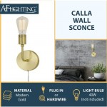 Calla 40W wall sconce