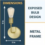 Calla 40W wall sconce