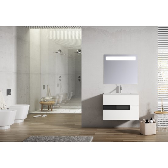 Lucena Bath 24" White and Black Vision Vanity