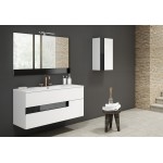 Lucena Bath 24" White and Black Vision Vanity