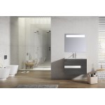 Lucena Bath 24" Grey and White Vision Vanity