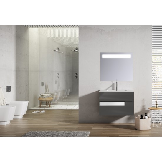 Lucena Bath 24" Grey and White Vision Vanity