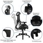 Ergonomic Mesh Office Chair with 2-to-1 Synchro-Tilt, Adjustable Headrest, Lumbar Support, and Adjustable Pivot Arms in Black