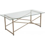 Mar Vista Collection Glass Coffee Table with Matte Gold Frame