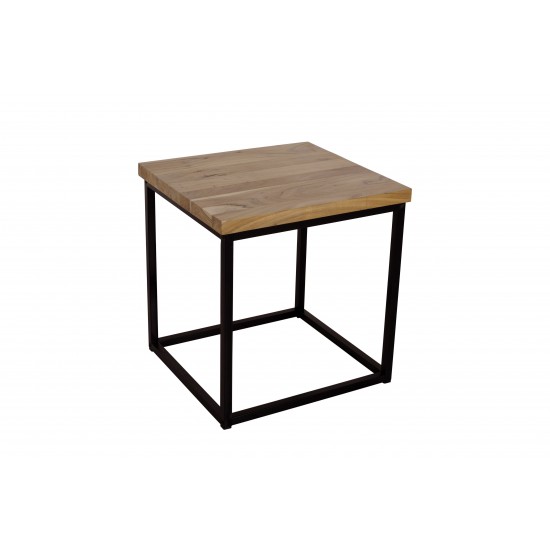 Ames Solid Wood Modern End Table