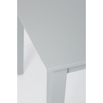Simplicity Rectangle Dining Table