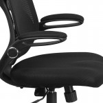 High Back Black Mesh Executive Swivel Ergonomic Office Chair with Adjustable Lumbar, 2-Paddle Control and Flip-Up Arms