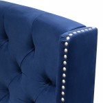 Majestic Queen Tufted Bed in Royal Navy Velvet with Nail Head Wing Accents by Diamond Sofa