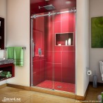 Enigma Sky 44-48 in. W x 76 in. H Frameless Sliding Shower Door in Brushed Stainless Steel