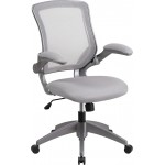 Mid-Back Gray Mesh Swivel Ergonomic Task Office Chair with Gray Frame and Flip-Up Arms