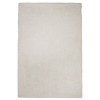 Bliss Ivory Shag 27" X 45" Rug