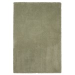 Bliss Sage Shag 27" X 45" Rug