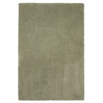 Bliss Sage Shag 3'3" x 5'3" Rug