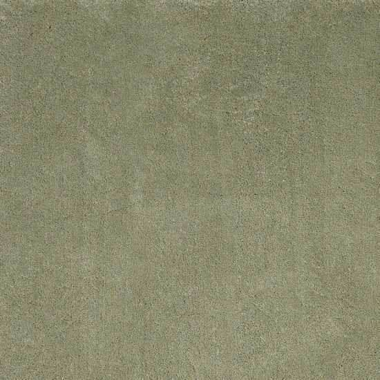 Bliss Sage Shag 3'3" x 5'3" Rug