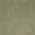 Bliss Sage Shag 8' x 11' Rug