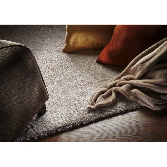 Bliss Ivory Heather Shag 9' x 13' Rug