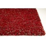 Bliss Red Heather Shag 3'3" x 5'3" Rug