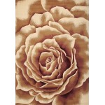 Corinthian Ivory Floral Splendor 20" x 31" Rug