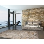 Karina Silver Lucia 3'11" x 5'5" Rug