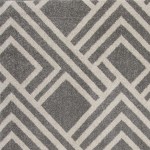 Lucia Grey Modeme 23" x 45" Rug