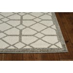 Lucia Ivory/Grey Scope 23" x 45" Rug