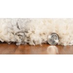 Merino Ivory/Grey Southern 3'9" x 5'11" Rug