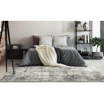 Montreal Grey Moderne 5'3" x 7'7" Rug