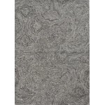 Serenity Grey Playa 5' x 7' Rug