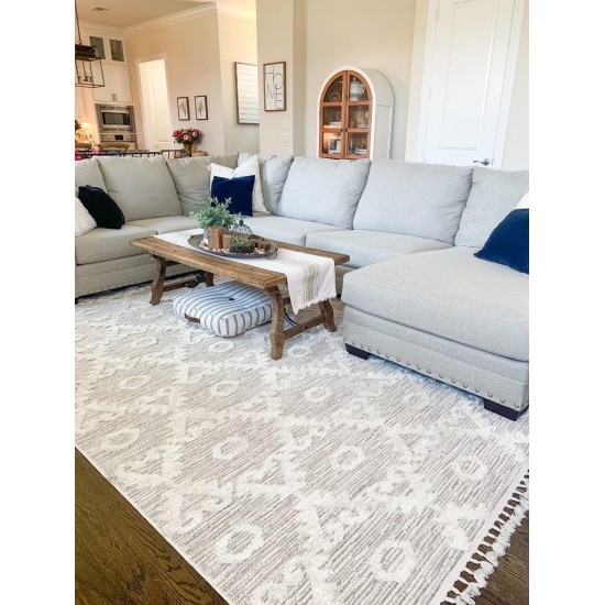 Willow Ivory Beige Boho 5'3" x 7'7" Rug