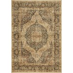 Cordoba Mocha Antigua 7'10" x 11'2" Area Rug