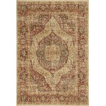 Cordoba Spice Antigua 5'3" x 7'7" Area Rug