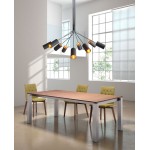 Ambition Ceiling Lamp Black