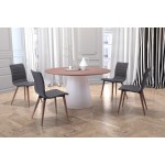 Jericho Dining Chair (Set of 2) Gray