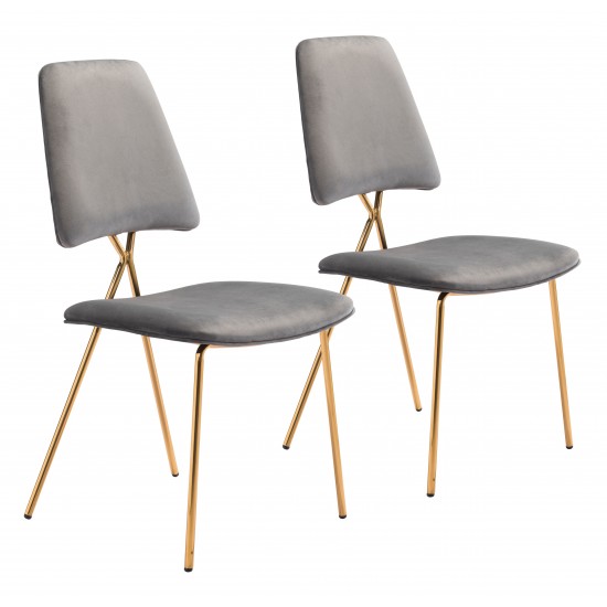 Chloe Dining Chair (Set of 2) Gray & Gold