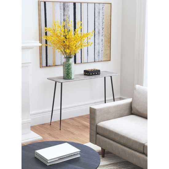 Gard Console Table Gray