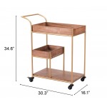 Bar Cart & Tray Brown & Gold