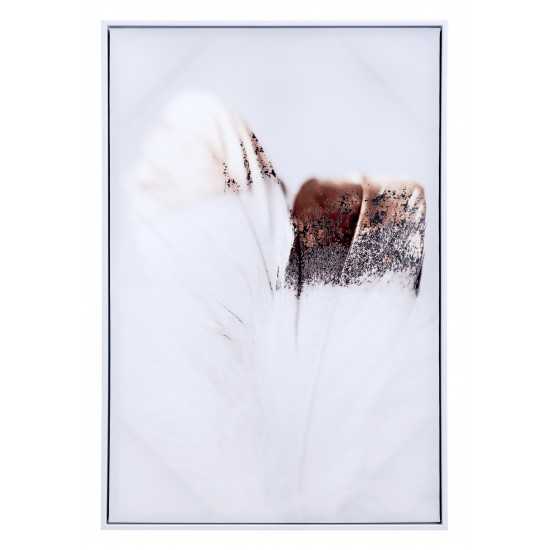 Delicate Feather Canvas Multicolor