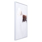 Delicate Feather Canvas Multicolor
