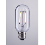 E26 T45 2W LED 110 x 45 mm Clear