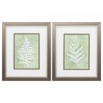 Forest Ferns S/2, 1315