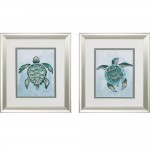 Aquatic Turtle S/2