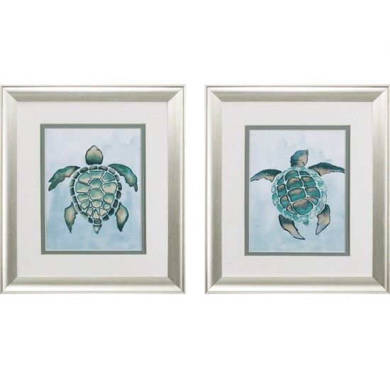 Aquatic Turtle S/2