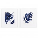 Blue Ferns S/2